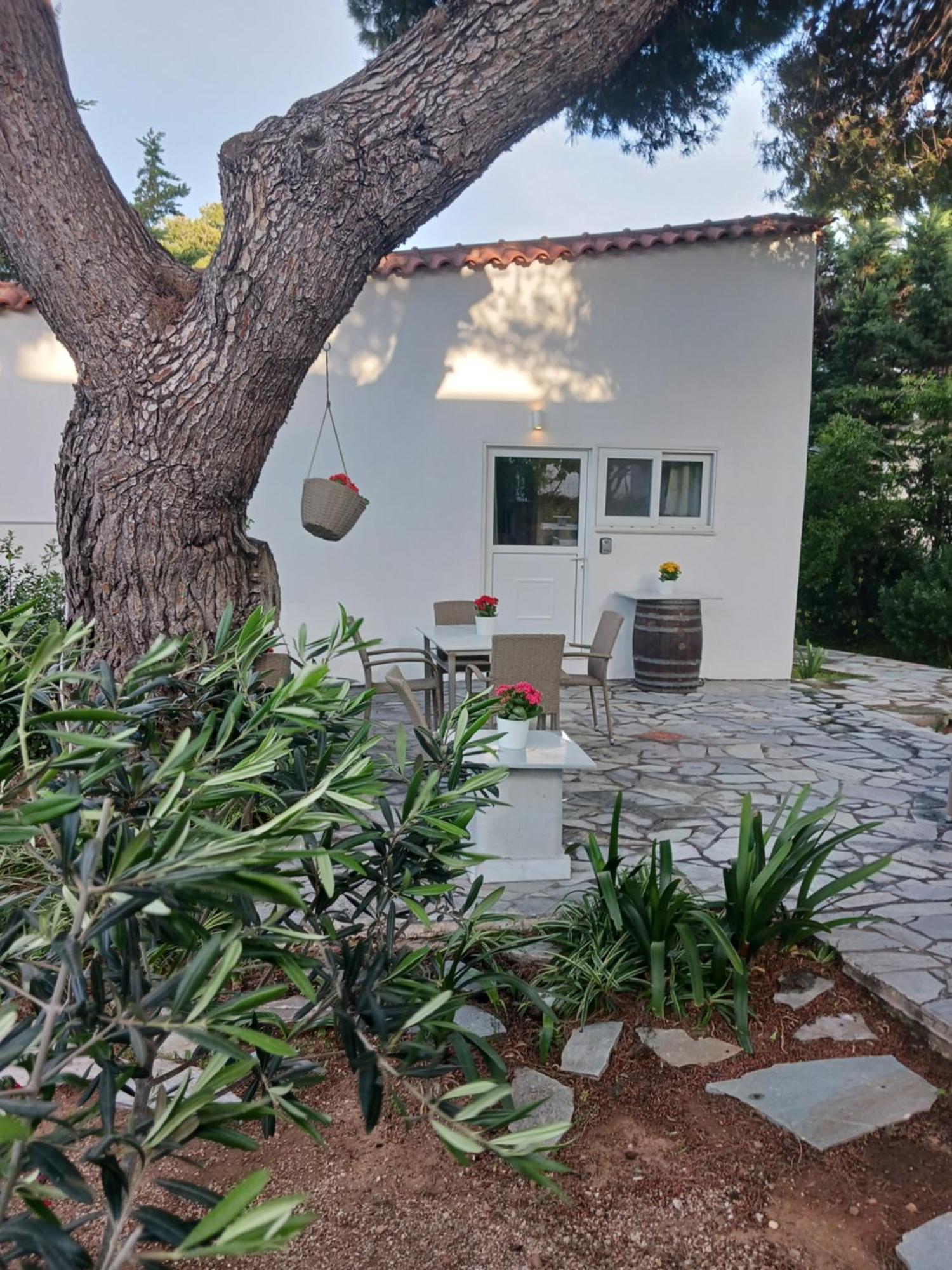 Theros & Trygos Boutique Houses - Ath Airport Artemida (Attica) Exterior foto